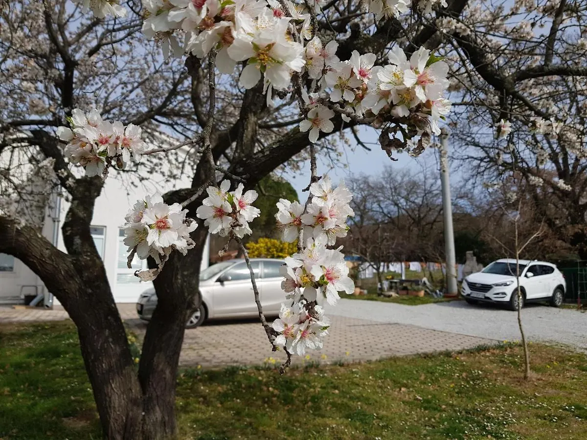 Apartment Rama Porec Croatia
